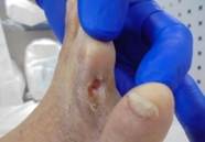 一張含有 人員, 手指, 接頭, 手腕 的圖片AI 產生的內容可能不正確。